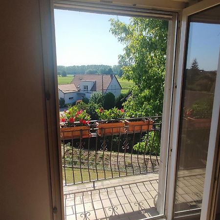 Appartement Des Rives De L'Ehn Krautergersheim Eksteriør bilde