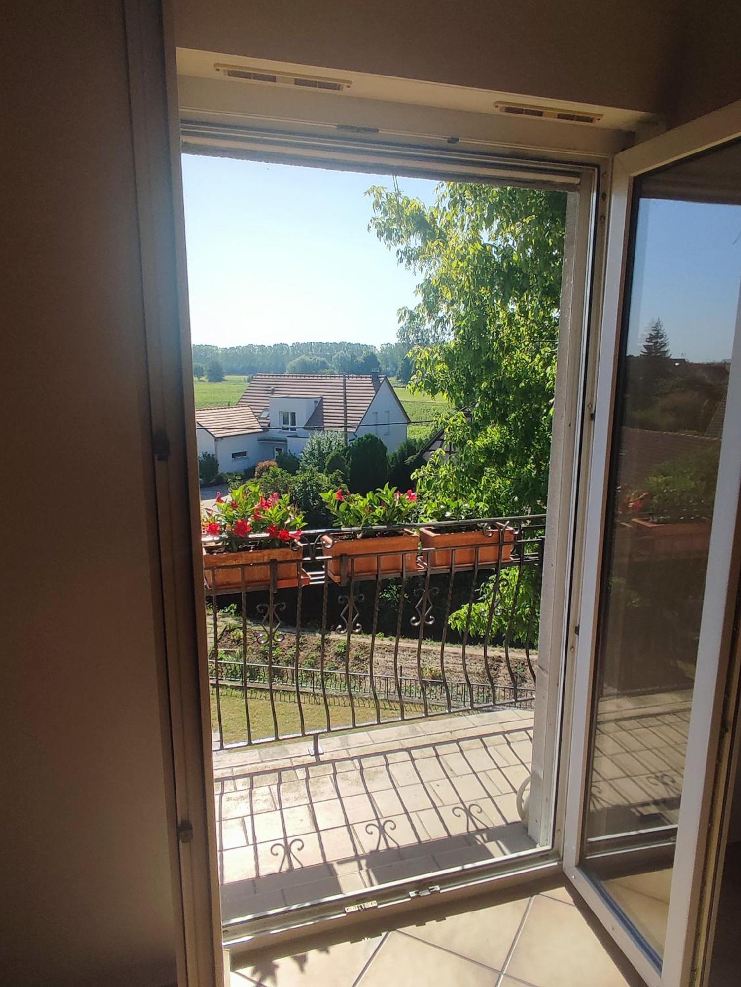 Appartement Des Rives De L'Ehn Krautergersheim Eksteriør bilde